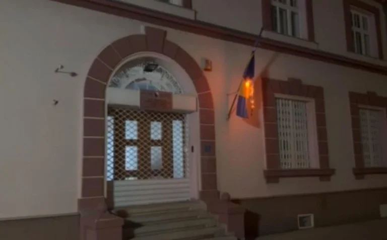 Zapaljena zastava bih
