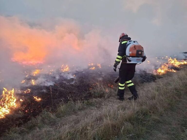 Vatrogasci gase šumski požar u Bosni i Hercegovini