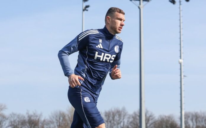Edin Džeko slavi pogodak za Schalke u Kupu Njemačke