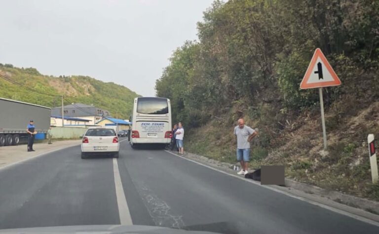 Oštećeni minibus nakon udara u mladunče medvjeda kod Travnika