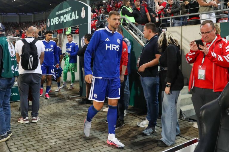Edin Džeko slavi pogodak za Schalke protiv Halleschera