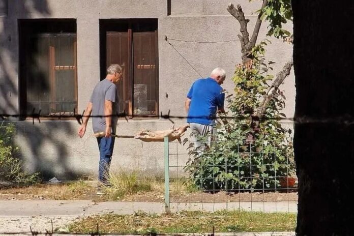 Botanički vrt Zemaljskog muzeja BiH i prostor uz objekat nacionalnog spomenika