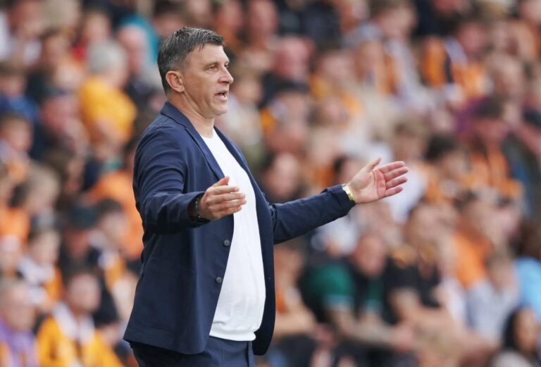 Sergej Jakirović na utakmici Hull Cityja