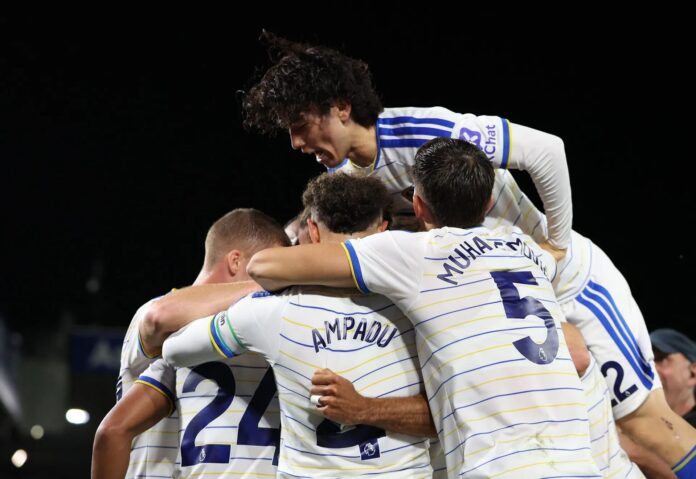 Tarik Muharemović asistira za treći gol Leedsa protiv Newcastlea