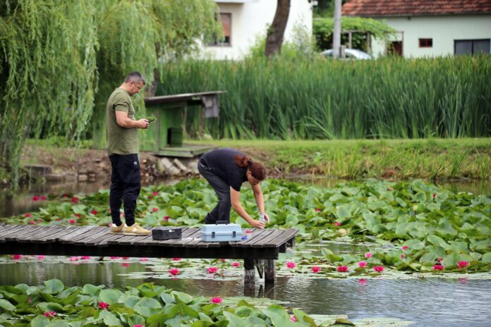Aktivnosti banjalučkog DIZB-a na zaštiti močvara i divljih vrsta Aktivnosti banjalučkog DIZB-a na zaštiti močvara i divljih vrsta