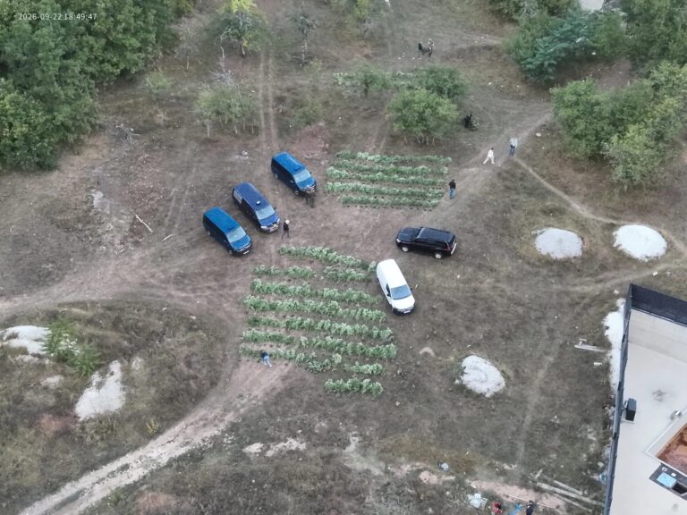 Policijska akcija i zaplijenjena plantaža cannabisa u Borcima kod Konjica