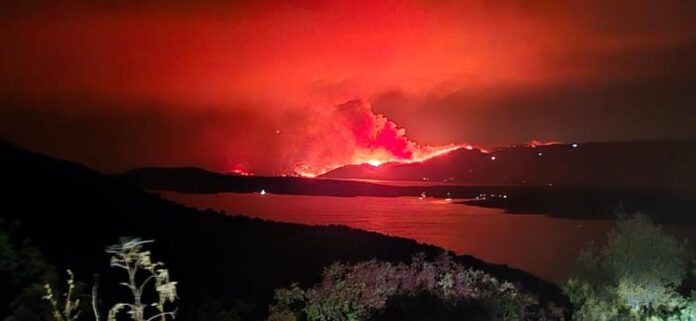 Vatrogasci gase požar na Braču uz opožarenu borovu šumu