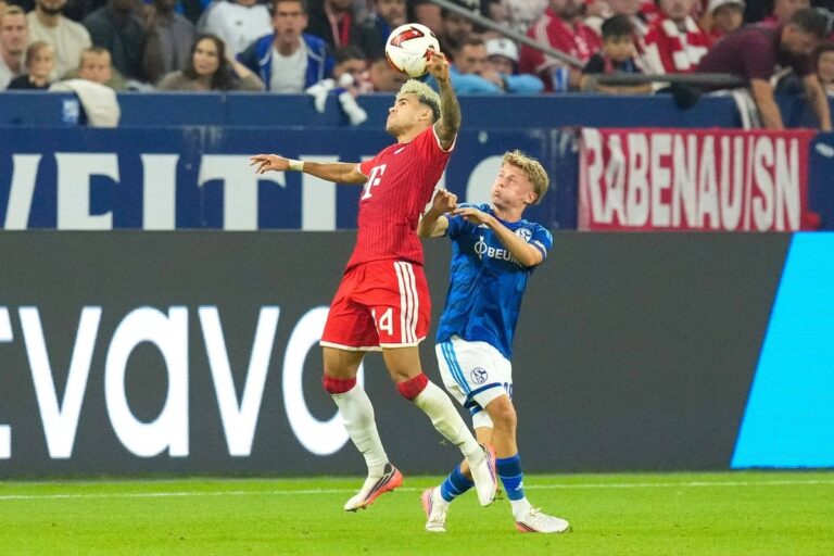 Luca Franjo Vozar u dresu Schalkea tokom utakmice protiv Bayerna