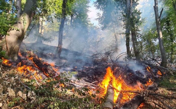 Vatrogasci gase požar niskog rastinja u Tuzlanskom kantonu