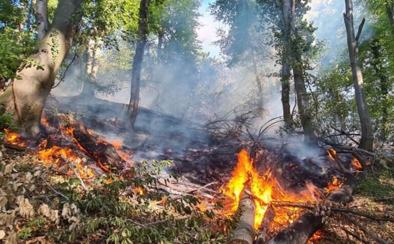 Vatrogasci gase požar niskog rastinja u Tuzlanskom kantonu