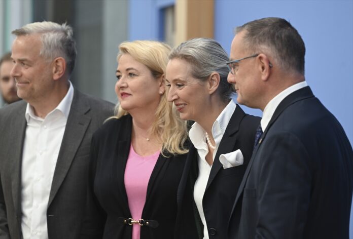 Alice Weidel i plan AfD-a za promjenu Evropske unije