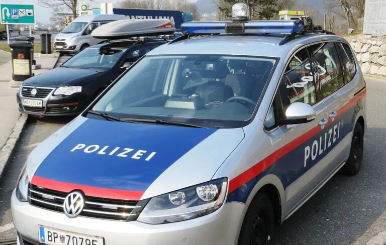 Policijska intervencija nakon hapšenja državljanke BiH u Beču