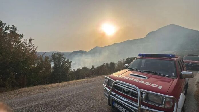 Vatrogasci gase požar na otvorenom prostoru u Gradačkom polju kod Neuma