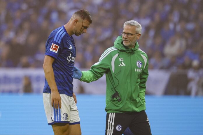 Edin Džeko u dresu Schalkea tokom utakmice Bundeslige